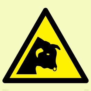 W034 Warning: Bull